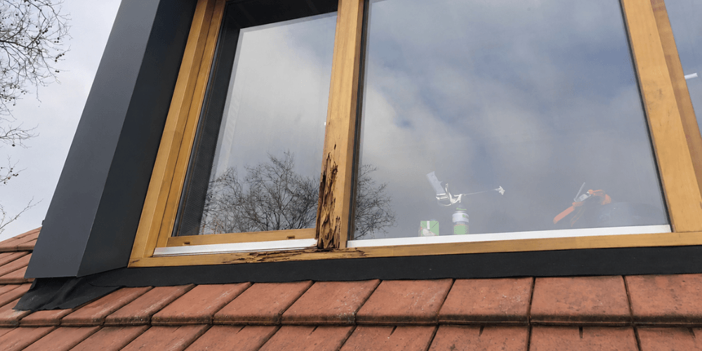 Houtrot reparatie
